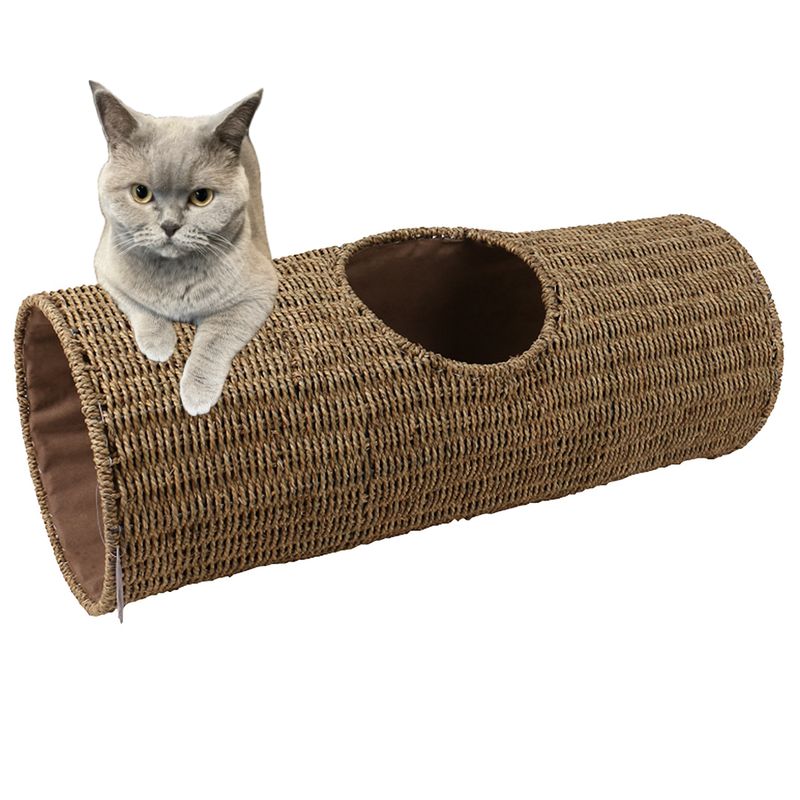 Natur Seegras Katzentunnel Laguna