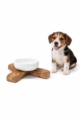 Futternapf ROCKY aus Olivenholz & Porzellan Futternapf ROCKY aus Olivenholz & Porzellan
