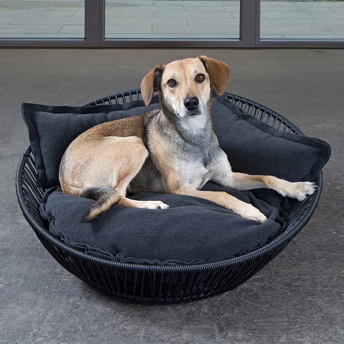 SIRO SALEEN Hunde- und Katzenkorb SIRO SALEEN Hunde- und Katzenkorb