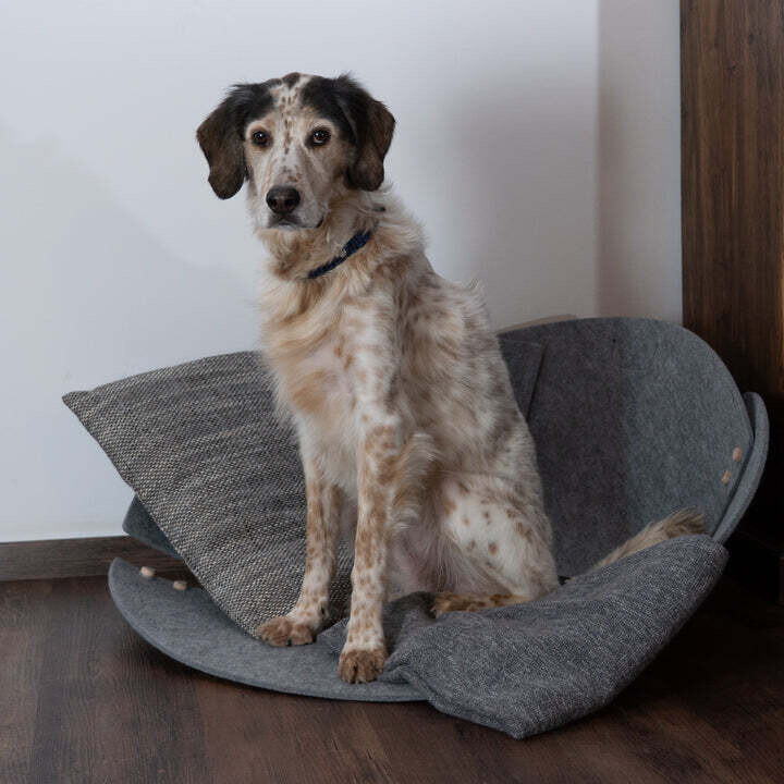 Nautilus -  muschelähnliche Höhle / Versteck