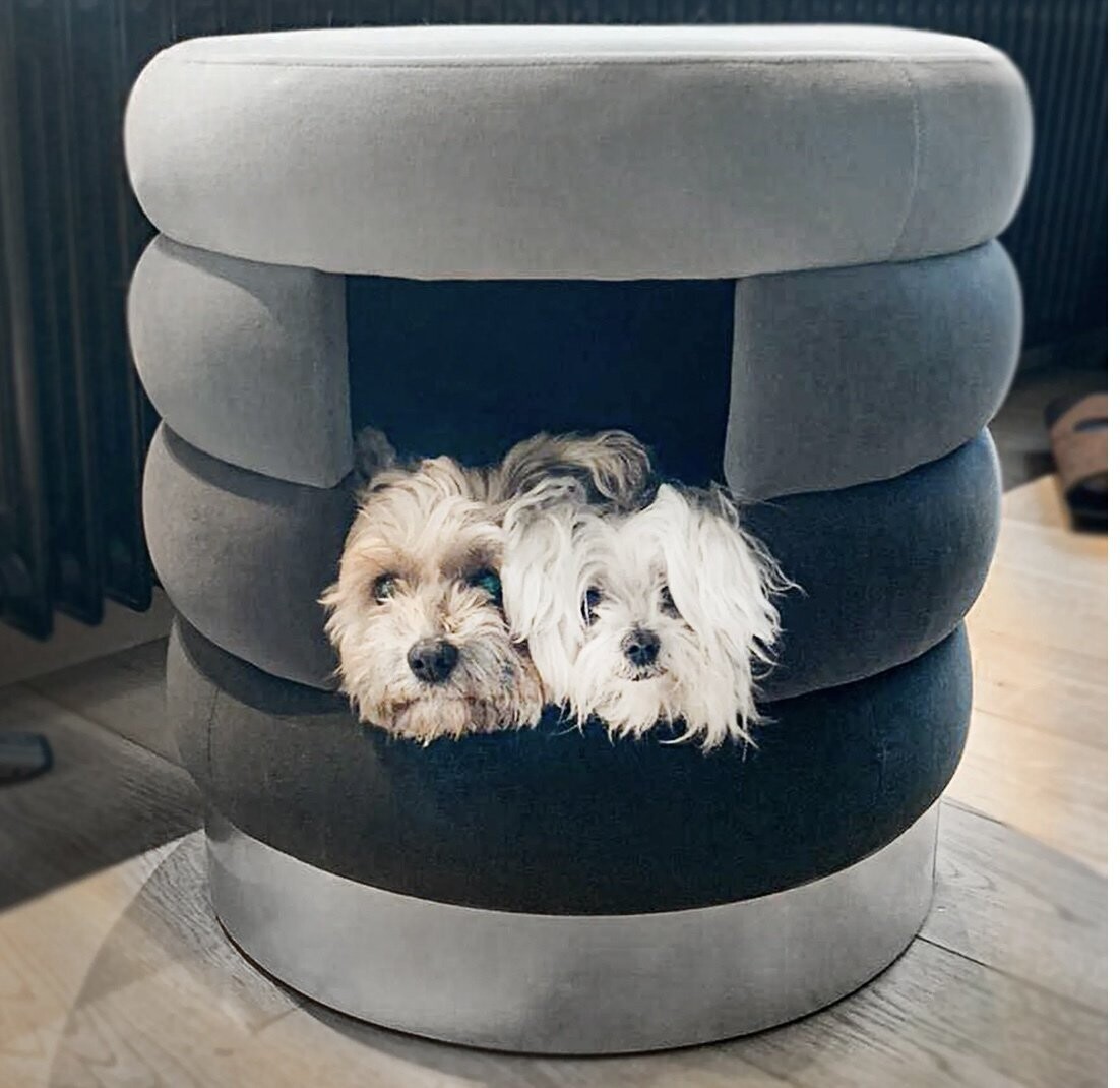 Design-Hundehöhle Choupette