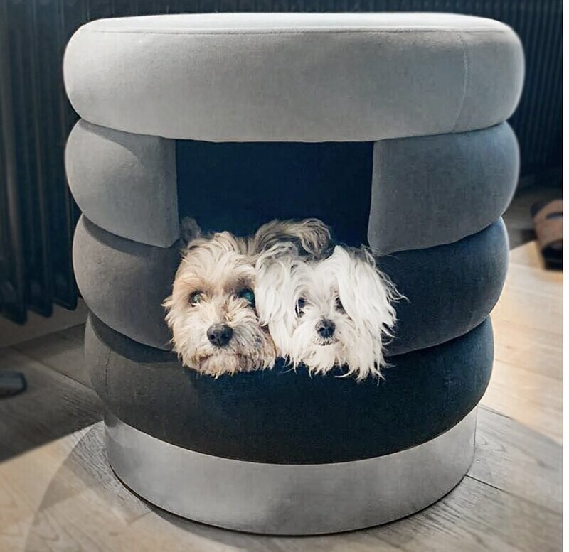 Design-Katzenhöhle Choupette