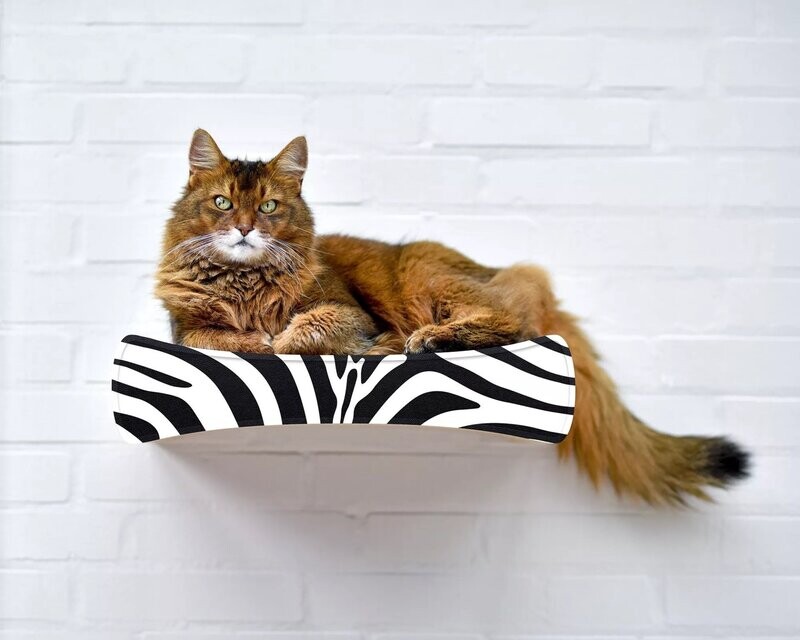 CAT-ON Le Plateau Wandkratzbaum