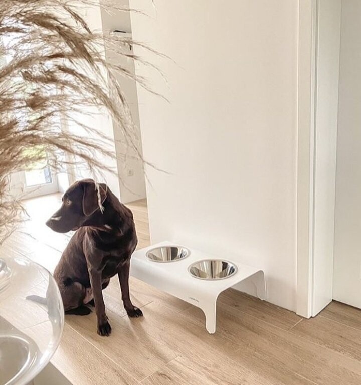 LABBVENN RICO Futterstation für Hunde & Katzen LABBVENN RICO Futterstation für Hunde & Katzen
