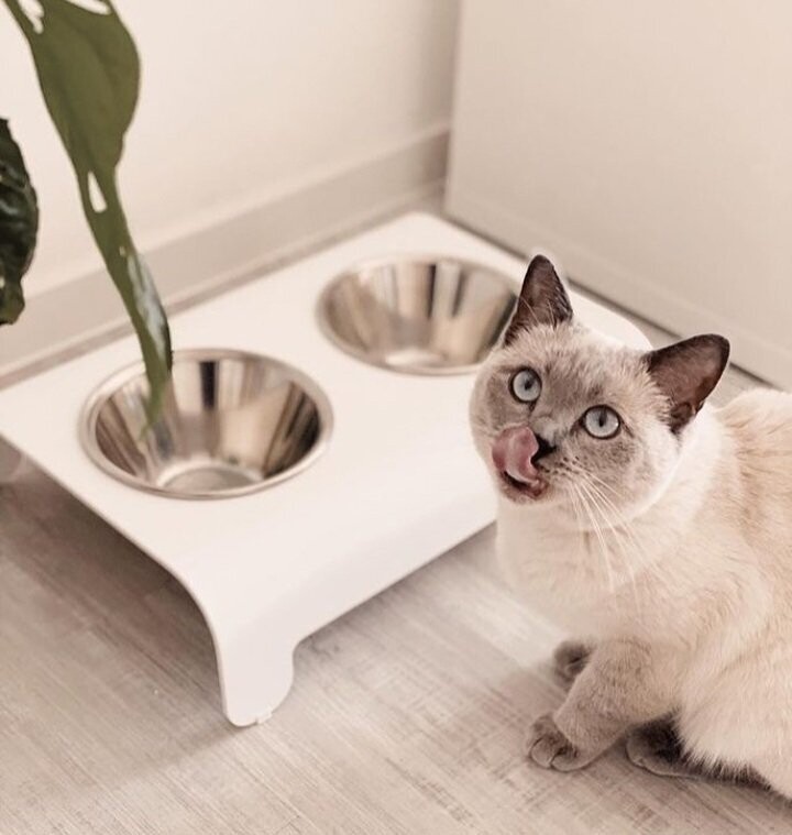 LABBVENN RICO Futterstation für Hunde & Katzen LABBVENN RICO Futterstation für Hunde & Katzen