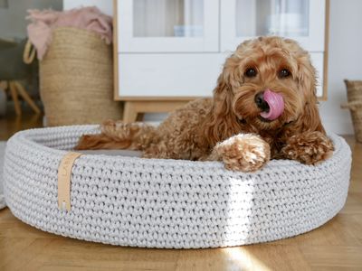 LABBVENN LUKKO Hundebett LABBVENN LUKKO Hundebett