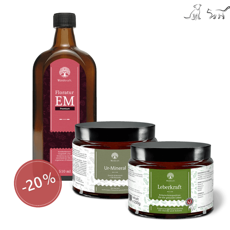 Waldkraft Sparset Darm