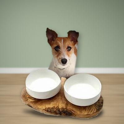 Futterstation RUSTY: Doppelnapf aus Olivenholz und Porzellan für deinen Hund Futterstation RUSTY: Doppelnapf aus Olivenholz und Porzellan für deinen Hund