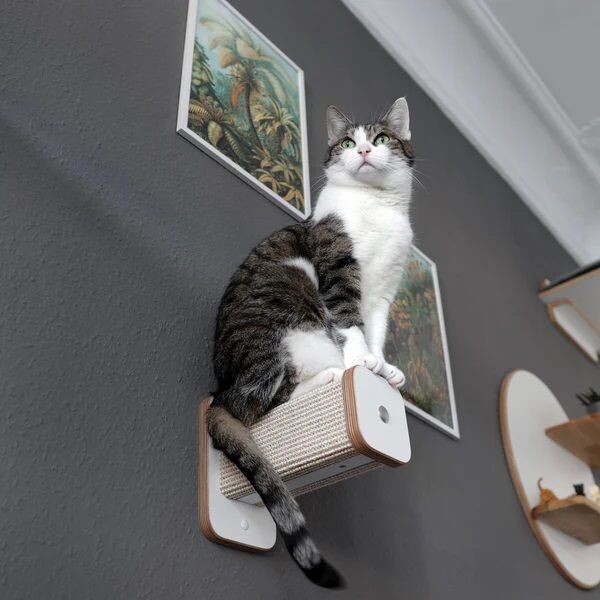 katzenart Hüpfstamm STUFENTIGER katzenart Hüpfstamm STUFENTIGER