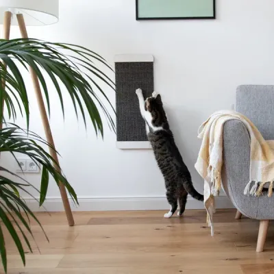 kratzFEST - Sisal Katzen Kratzbrett für die Wand kratzFEST - Sisal Katzen Kratzbrett für die Wand