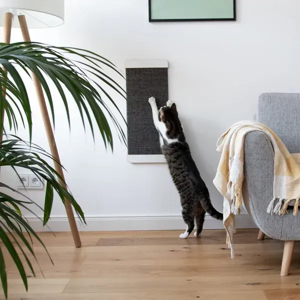 kratzFEST - Sisal Katzen Kratzbrett für die Wand kratzFEST - Sisal Katzen Kratzbrett für die Wand