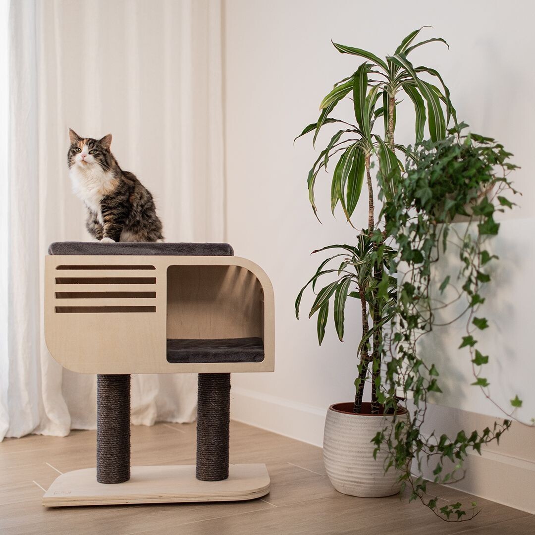 Design Kratzbaum Atlanta