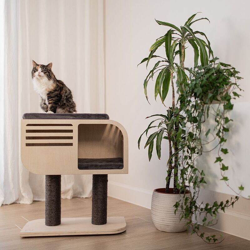 Design Kratzbaum Atlanta