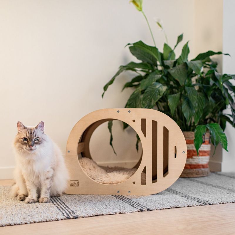 Design Katzenhaus Tara