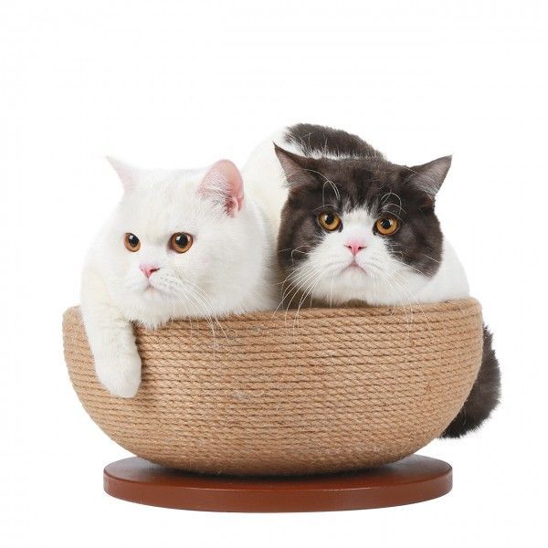 CanadianCat® Kratzschale CanadianCat® Kratzschale "Bowl" – Stylische Liegemulde mit natürlichem Sisal