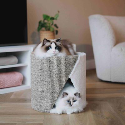 District 70® Kratztonne UNFOLD – Stylisches Katzenspielzeug & Rückzugsort