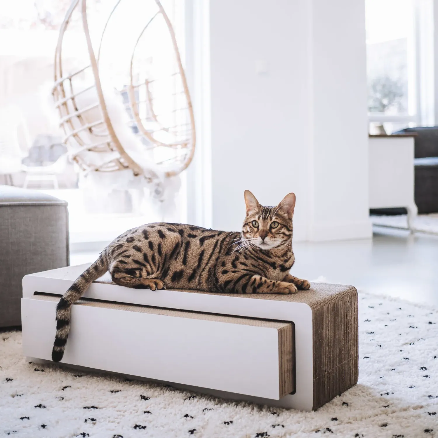 Stretch - Design Kratzmöbel Stretch - Design Kratzmöbel