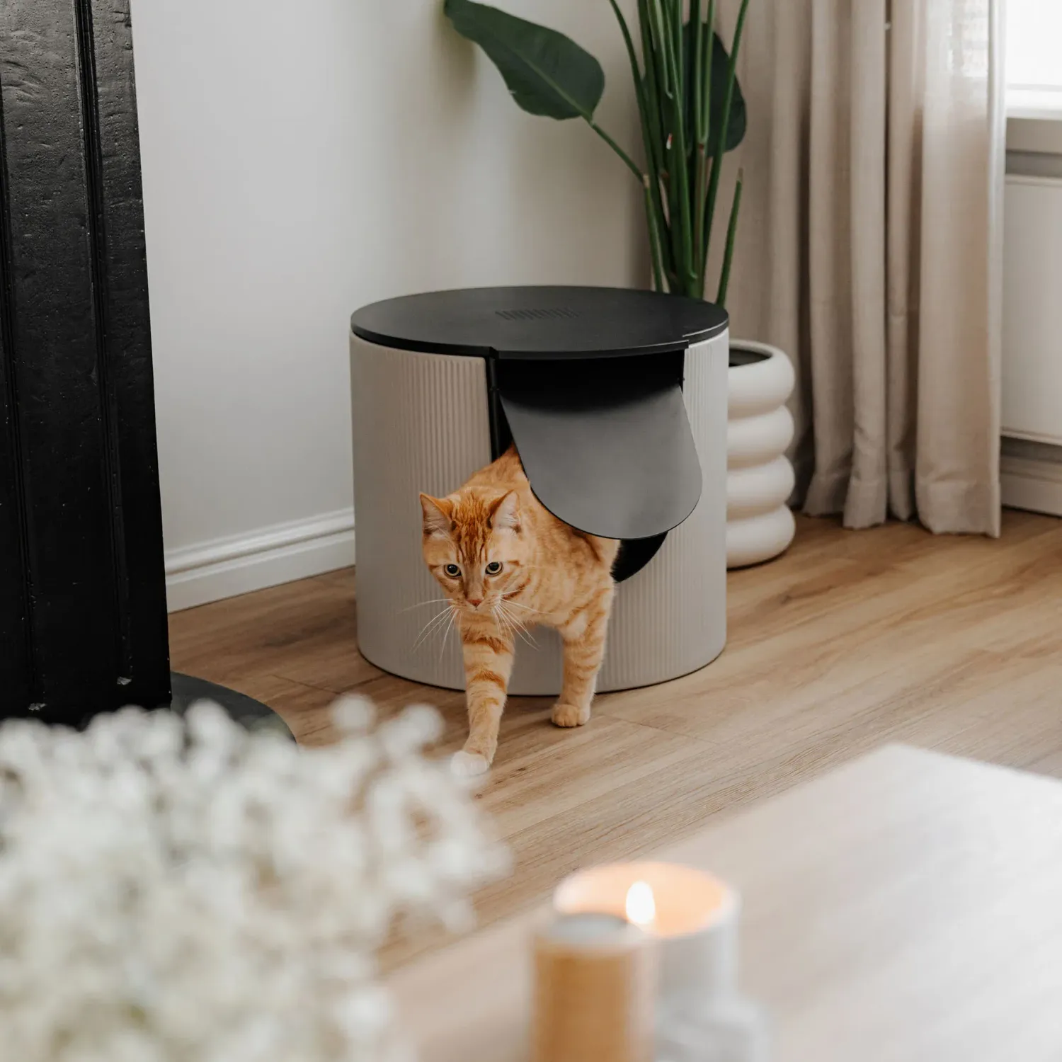 FUSE Design Katzentoilette FUSE Design Katzentoilette