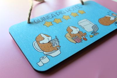 Guinea Pig Hotel Wooden Sign - Sky Blue