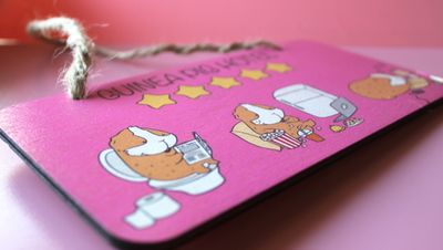 Guinea Pig Hotel Wooden Sign - Spicy Pink