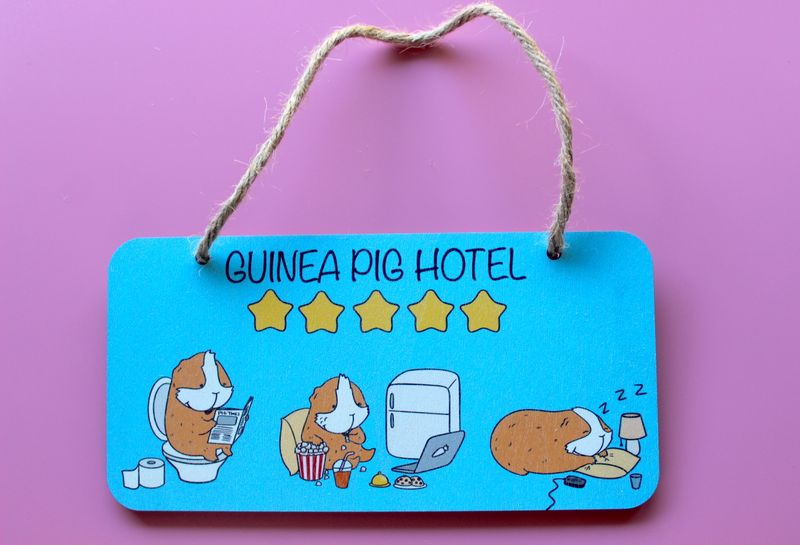 Guinea Pig Hotel Wooden Sign - Sky Blue