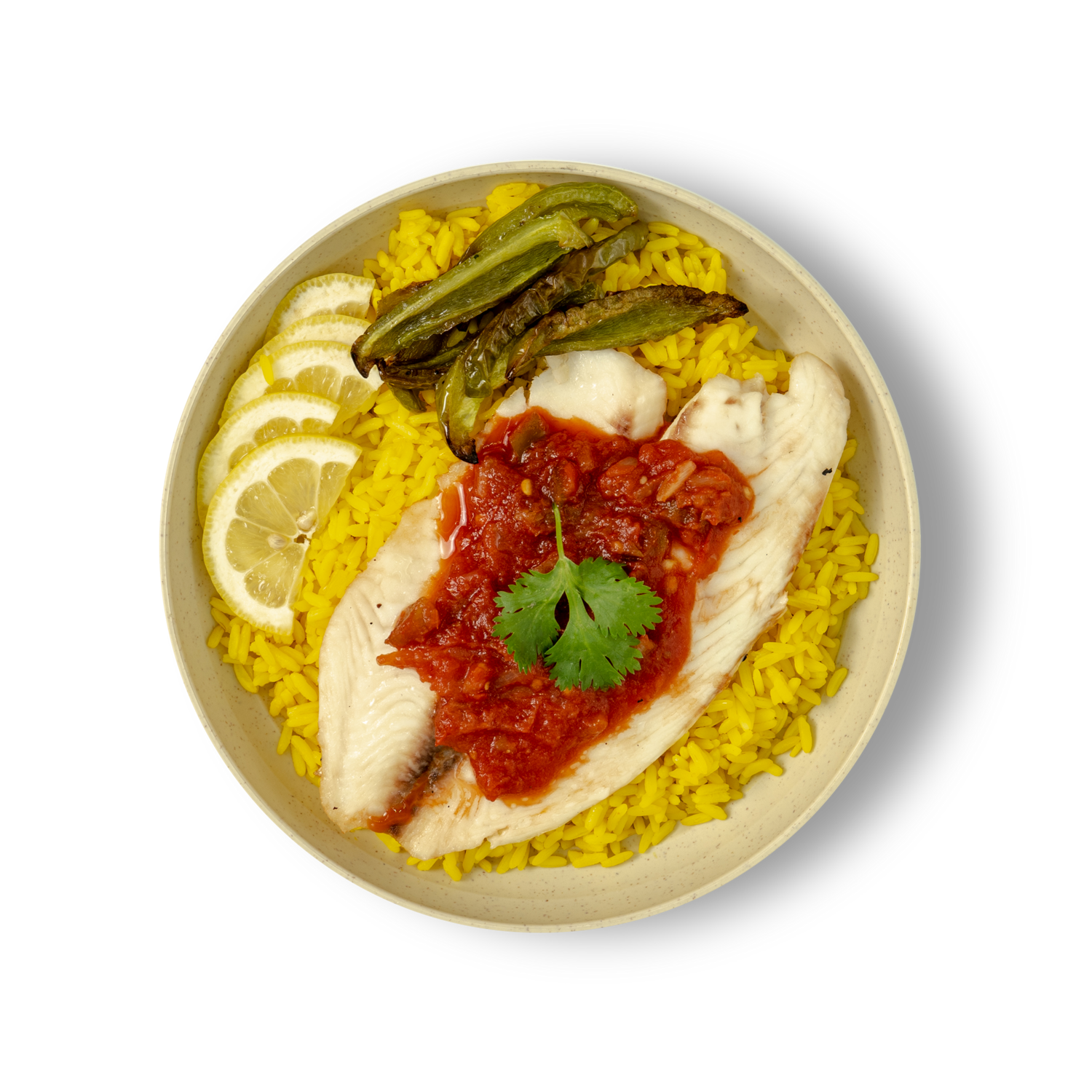 Salsa Fish on Spanish Rice