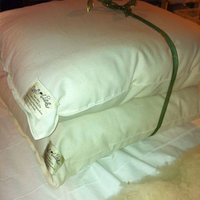Wool Pillows