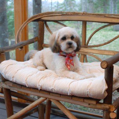 Pet Beds
