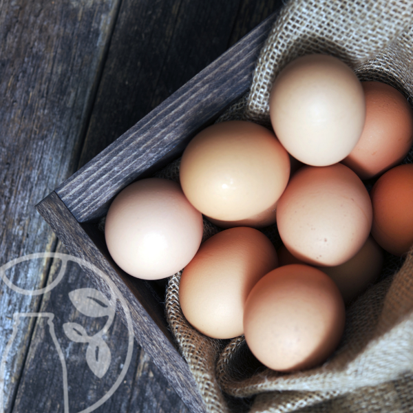 Pastured chicken eggs, pack of 10