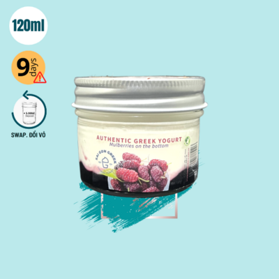 Greek yogurt with Mulberries