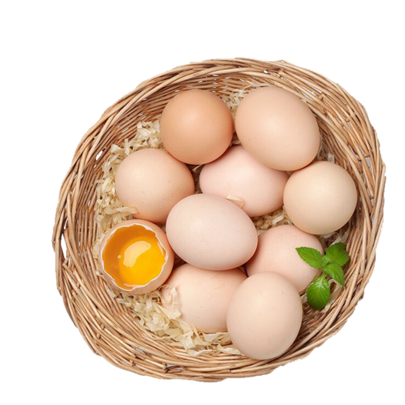 Pastured chicken eggs, pack of 10