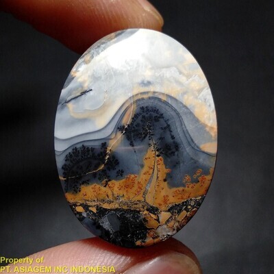 Unique Individual Stone