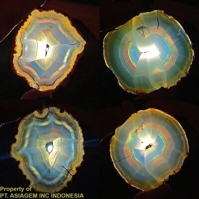 Iris Slice