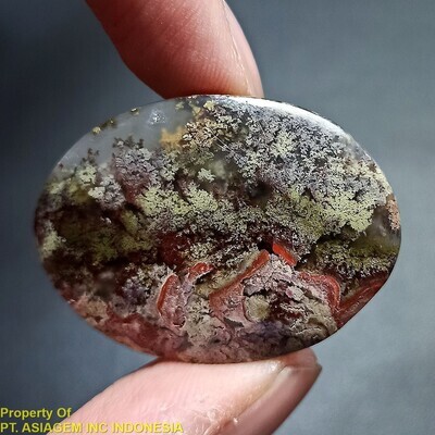 Garden Moss