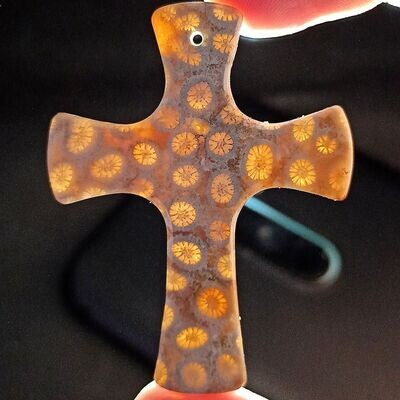Agatized Coral