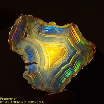 Iris Slice