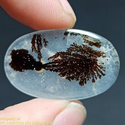 Dendritic Agate