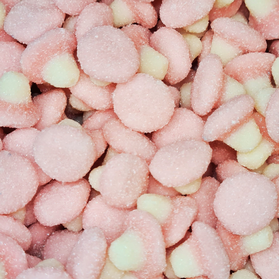 Magic Mushrooms 100g