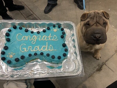 Pup Cake
