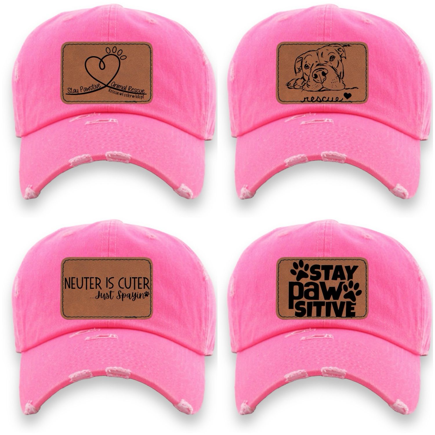 Stay Pawsitive Animal Rescue Fundraiser Hat