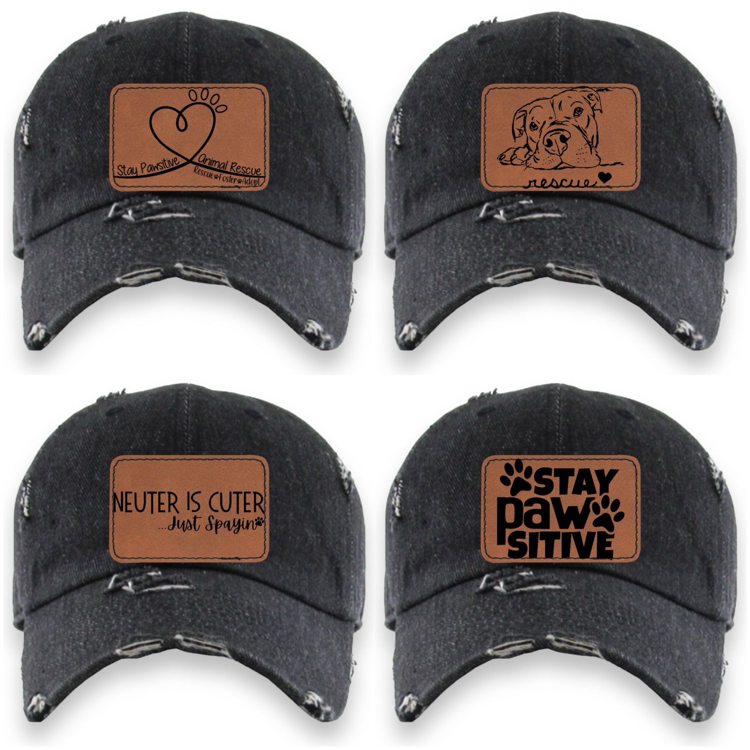 Stay Pawsitive Animal Rescue Fundraiser Hat
