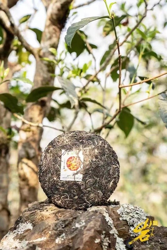 2021 Xiaguan 357g " Yan Zi Tou",