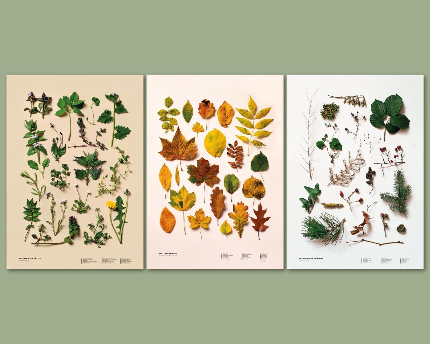 3er Poster-Set | Frühling, Herbst, Winter