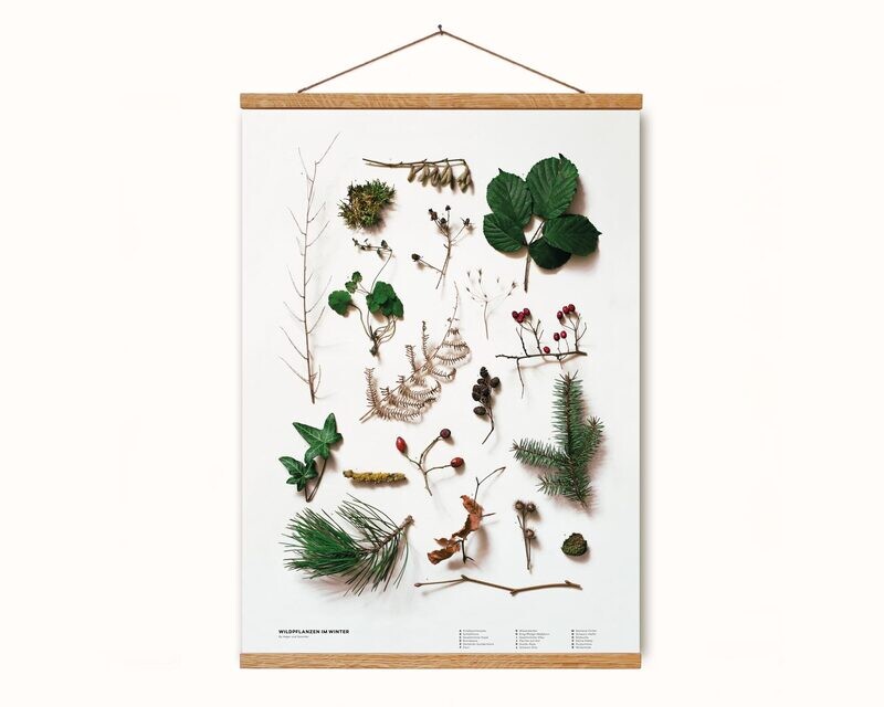 Wildpflanzen im Winter | Poster DIN A2 | 
Mit Posterleiste aus Holz