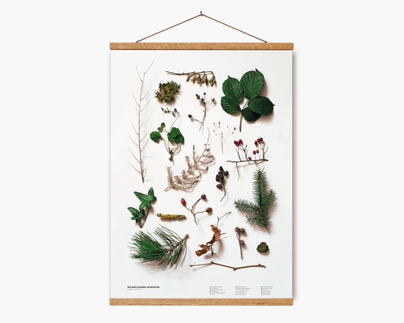 Wildpflanzen im Winter | Poster DIN A2