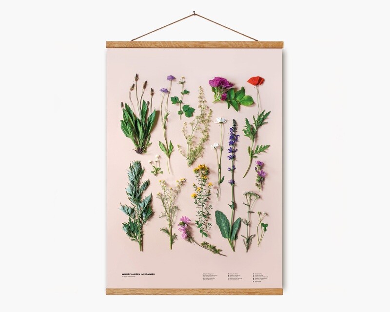 Wildpflanzen im Sommer | Poster DIN A2