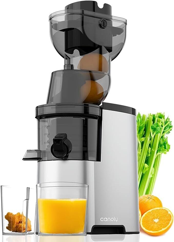 Masticating Juicer Machines, 300W 3.5-inch (88mm) Slow Cold Press