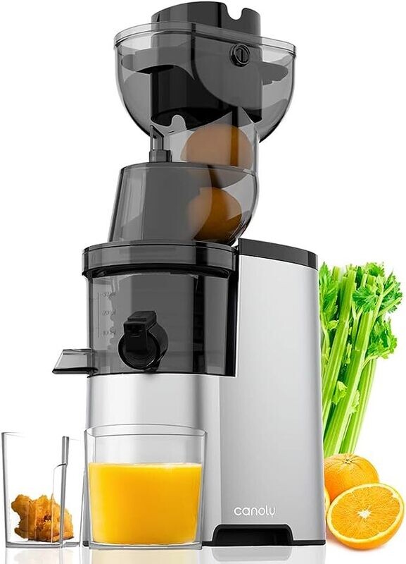 Masticating Juicer Machines, 300W 3.5-inch (88mm) Slow Cold Press