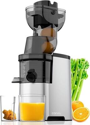 Masticating Juicer Machines, 300W 3.5-inch (88mm) Slow Cold Press