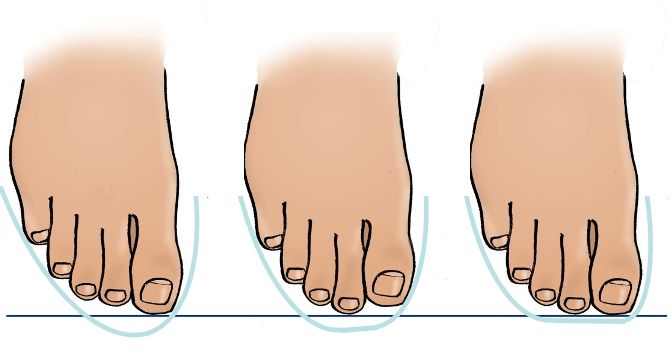 CHAUSSEUR EXPERT MODULE 1 - LE PIED